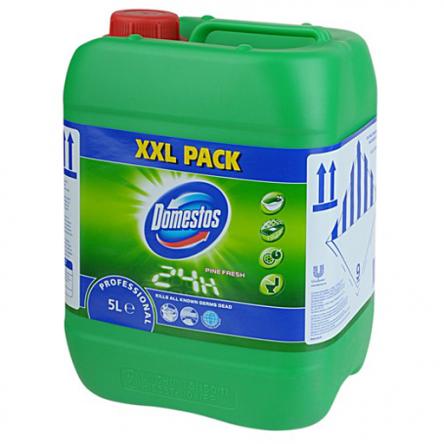 Domestos PINE FRESH 5L zelený