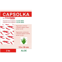Náplast hřejivá CAPSOLKA ALOE 2ks