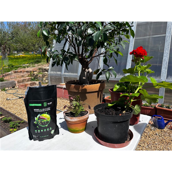 Biochar 1L, aktivní uhlí k rostlinám