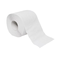 Toaletní papír mini recyklovaný 1000, 65% bělosti, 2 vrstvý, návin 66m ( 24rol v balení)